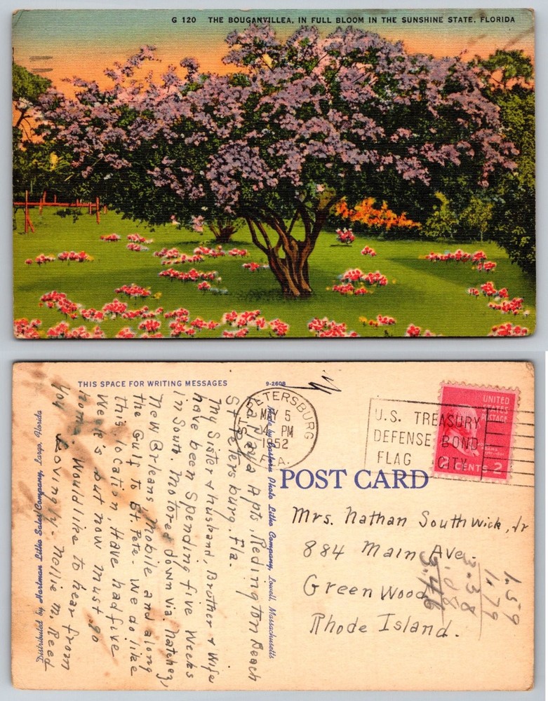 Vintage 1952 St. Petersburg Florida Bougainvillea Linen Postcard CT Art