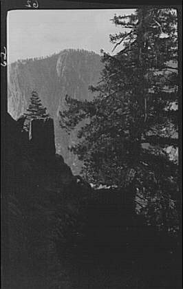 Yosemite National Park California 1900s Valley Cliffs Pines Travel View