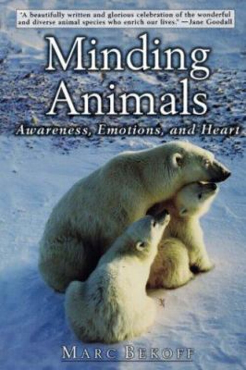 Minding Animals : Awareness, Emotions, and Heart Paperback Marc B