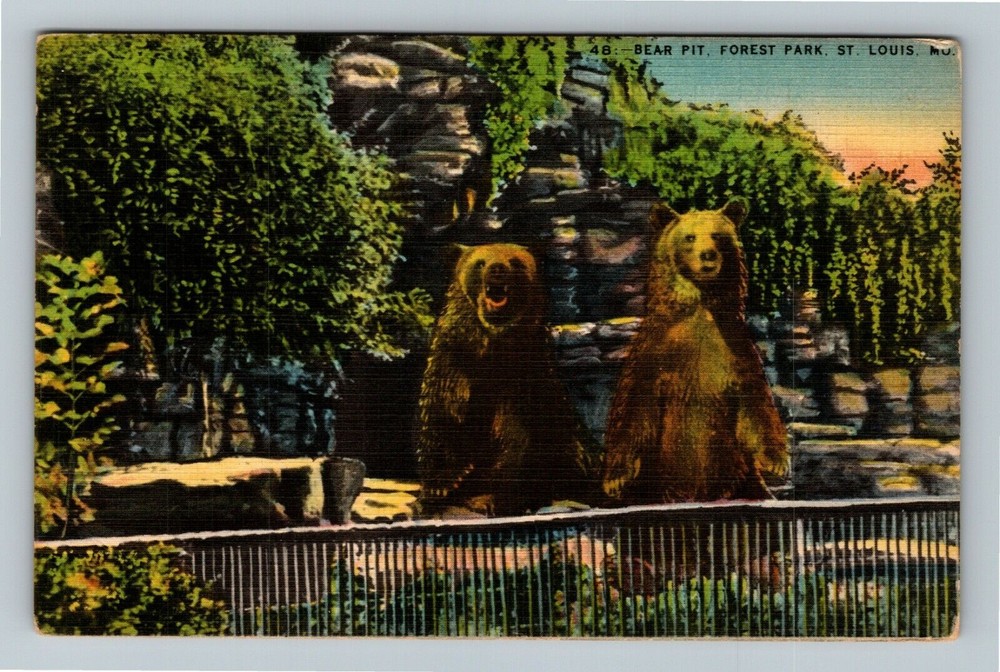 St Louis MO-Missouri, Bear Pit In Forest Park, Vintage Postcard