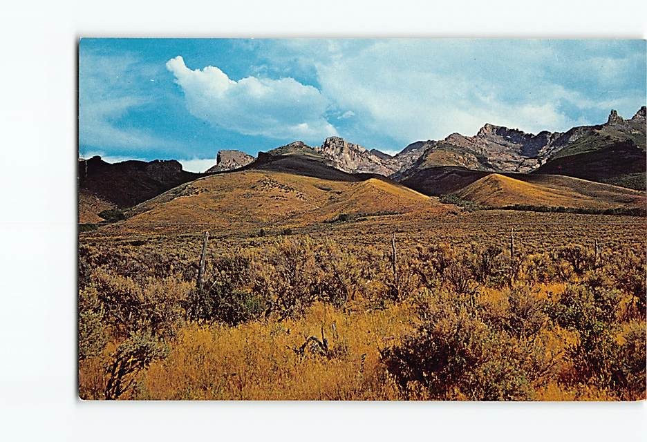 Postcard Mountain Nature Scene in Nevada USA
