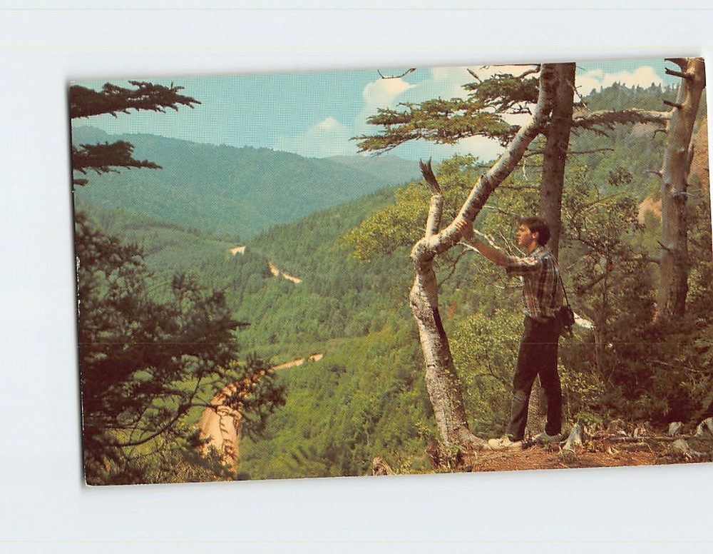 Postcard La Gaspesie Trail to Big Crevesse Perce Quebec Canada