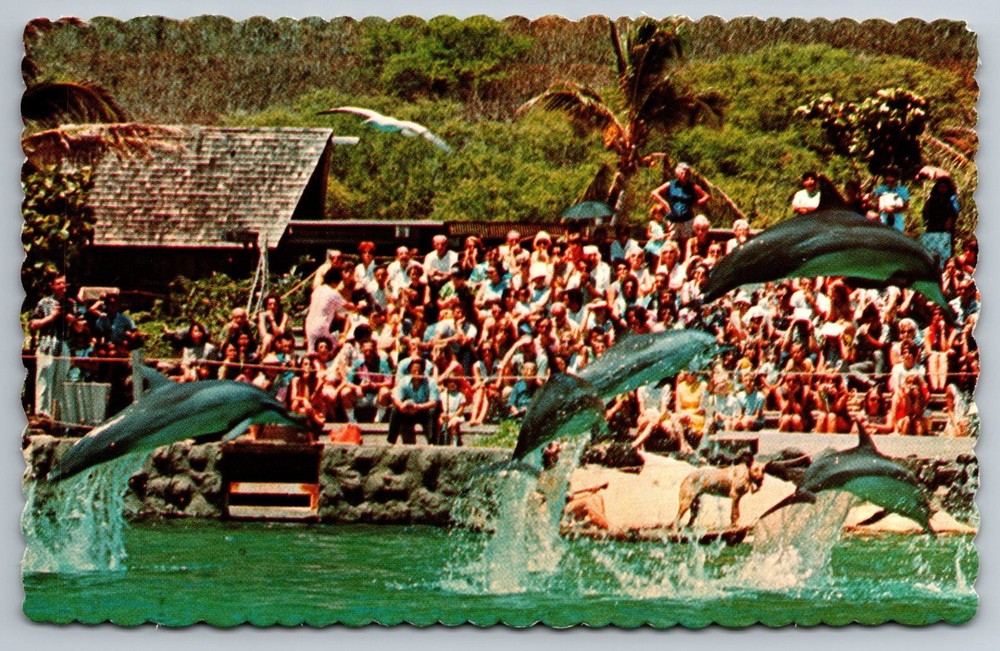 Postcard Makapuu Point Oahu Hawaii Sea Life Park Jumping Porpoises Whaler's Cove
