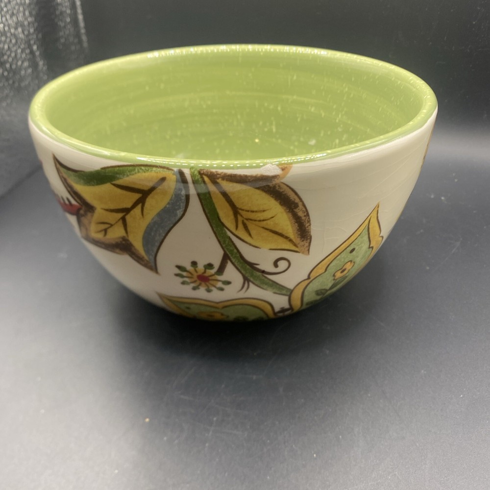 Pier 1 Imports ~ Carynthum ~  Earthenware Soup Cereal Bowl Green Floral Disconti