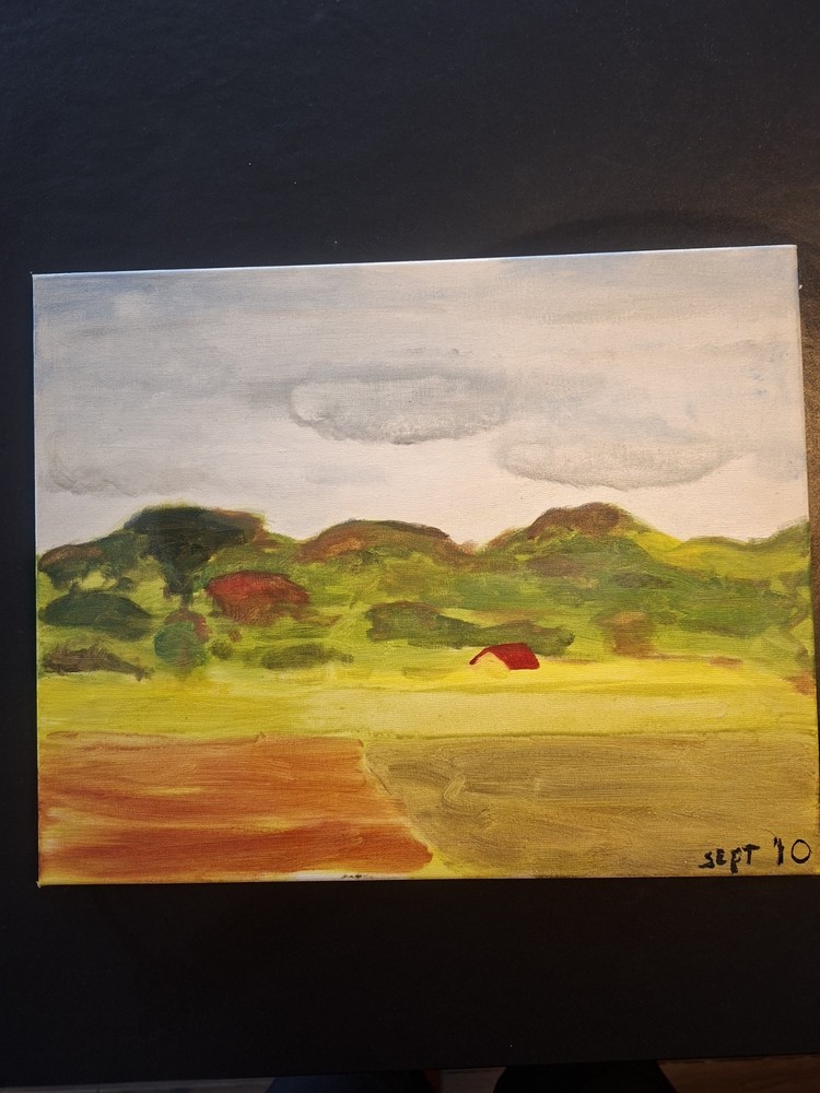paintings on canvas hand painted