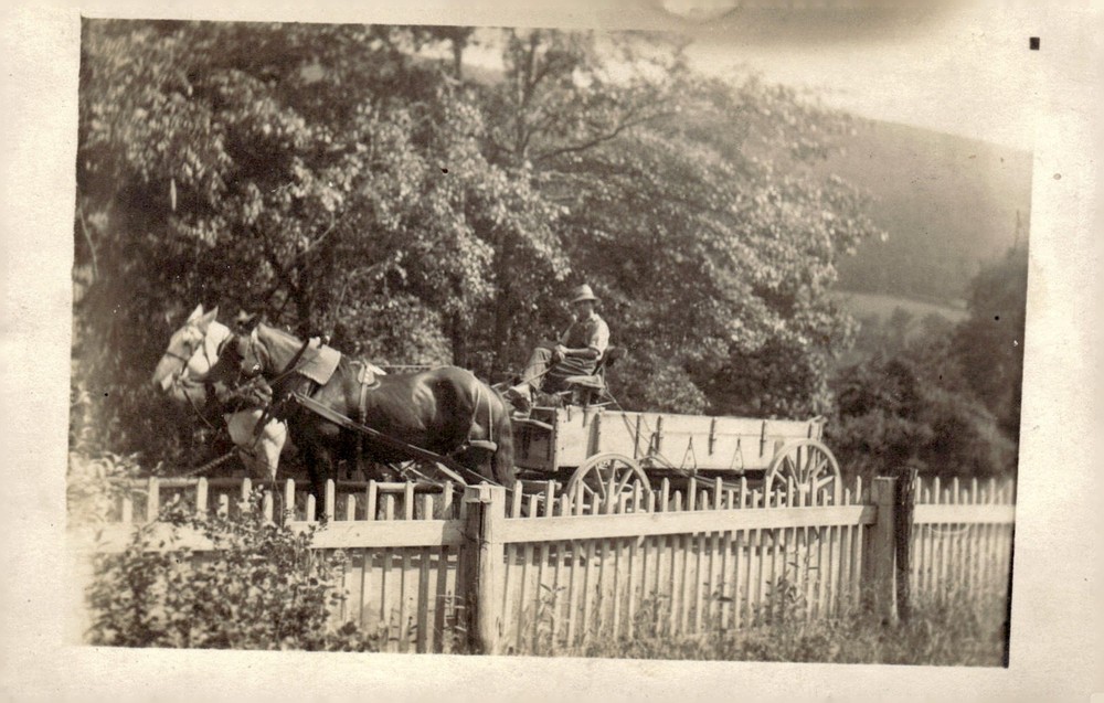 C1910 Rural Farm Scene Man Driving Horse Drawn Wagon RPPC Real Photo Postcard