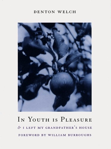 Denton Welch In Youth Is Pleasure (Paperback)Another great item from Rarewaves USA | Free delivery!