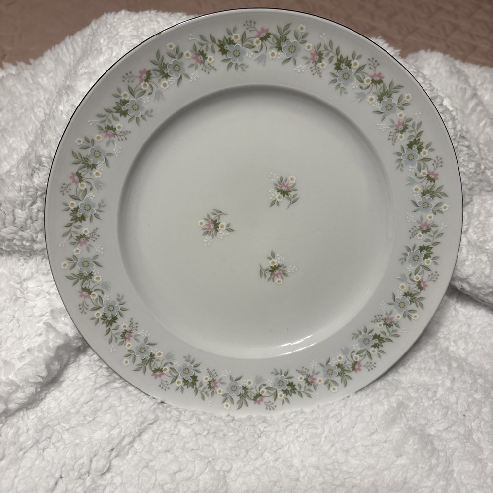 Johann Haviland Dinner Plate Bavaria Germany Forever Spring China 10