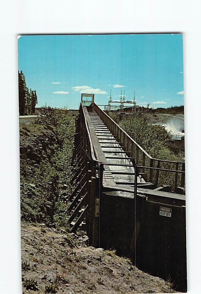 Postcard The fish ladder Whitehorse Canada