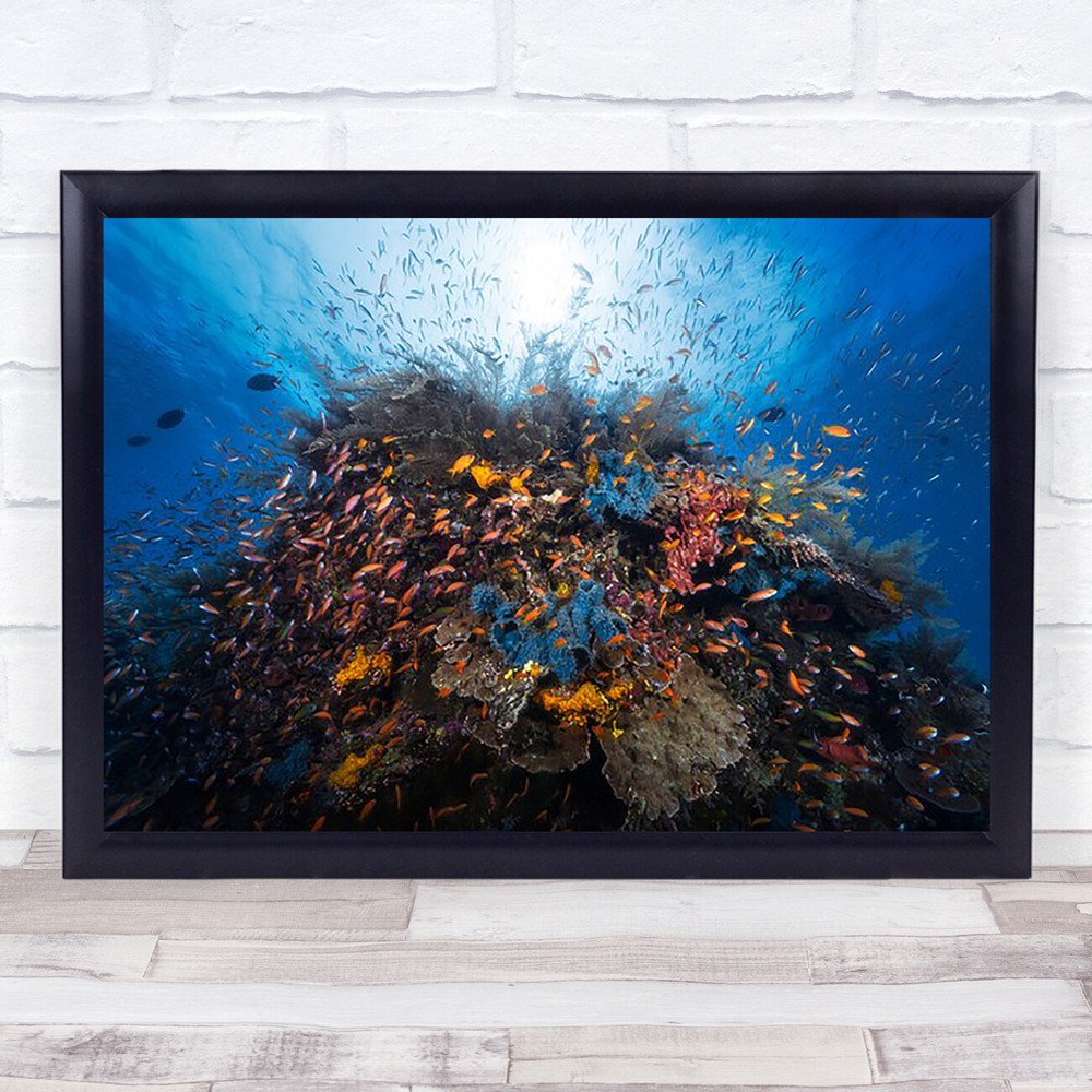 Fish Underwater Sea Ocean Reef Lagoon Wall Art Print