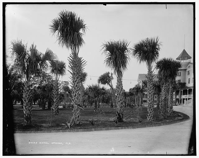 Photo:Ormond Beach Florida Hotel Ormond 1900s Palm Trees Resort