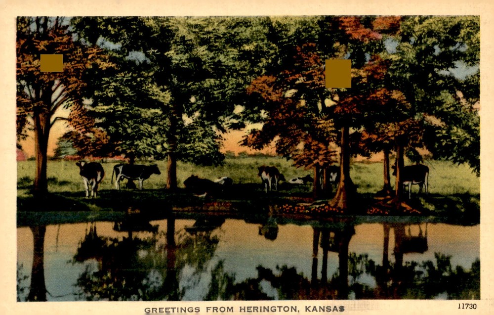 Greetings from Herington, Kansas Postcard Postcard