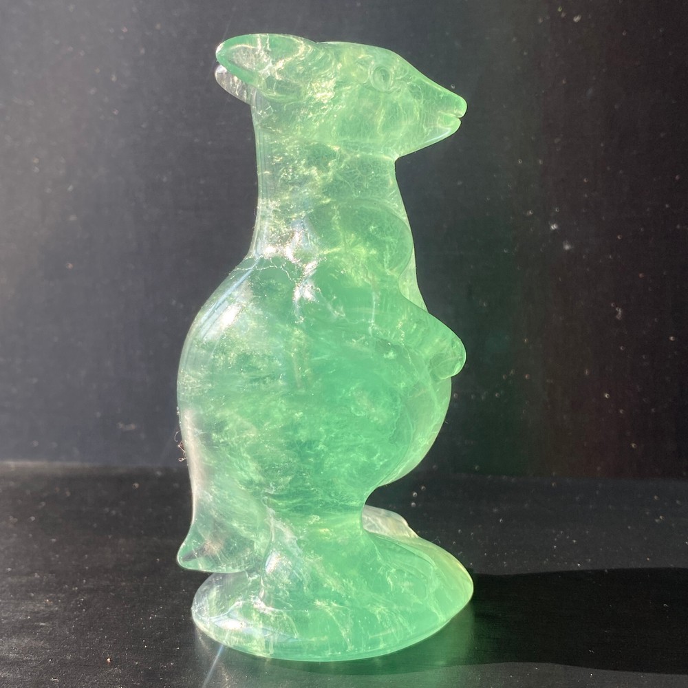 288g Natural Fluorite Carved Kangaroo Reiki Crystal Skull Crystal Decor gift