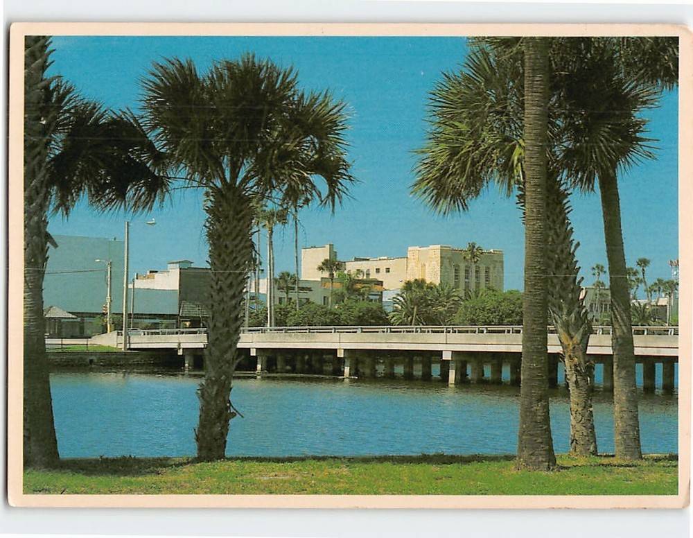 Postcard Palms Along Halifax River Daytona Beach Florida USA