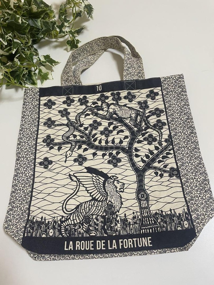 Dior Rare 20 VIP Limited Edition Book Tote Novelty Bag Used