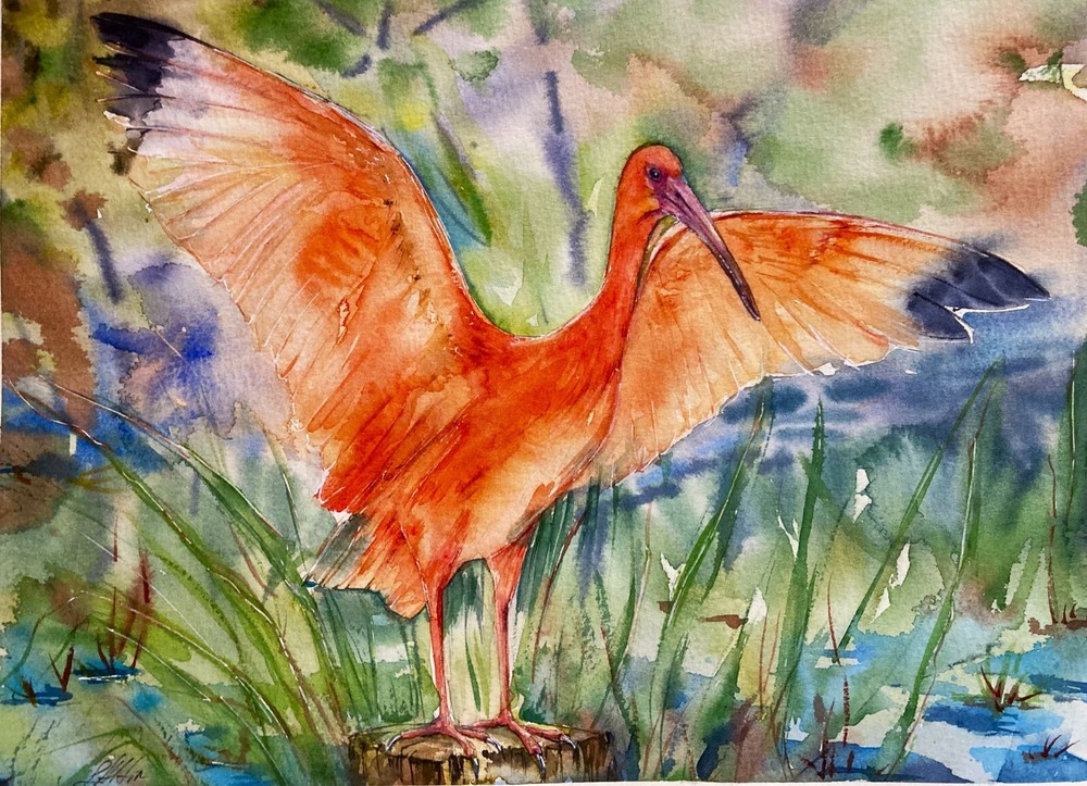 Scarlet Ibis Watercolor Art Wildlife Painting Handmade Original