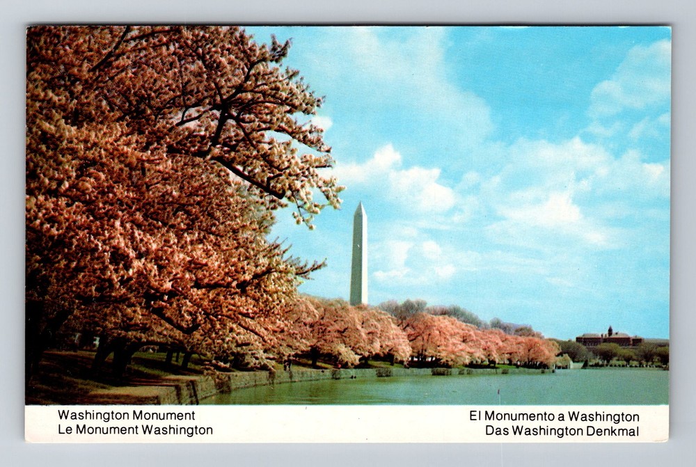 Washington DC-Washington Monument Cherry Blossom Vintage Postcard