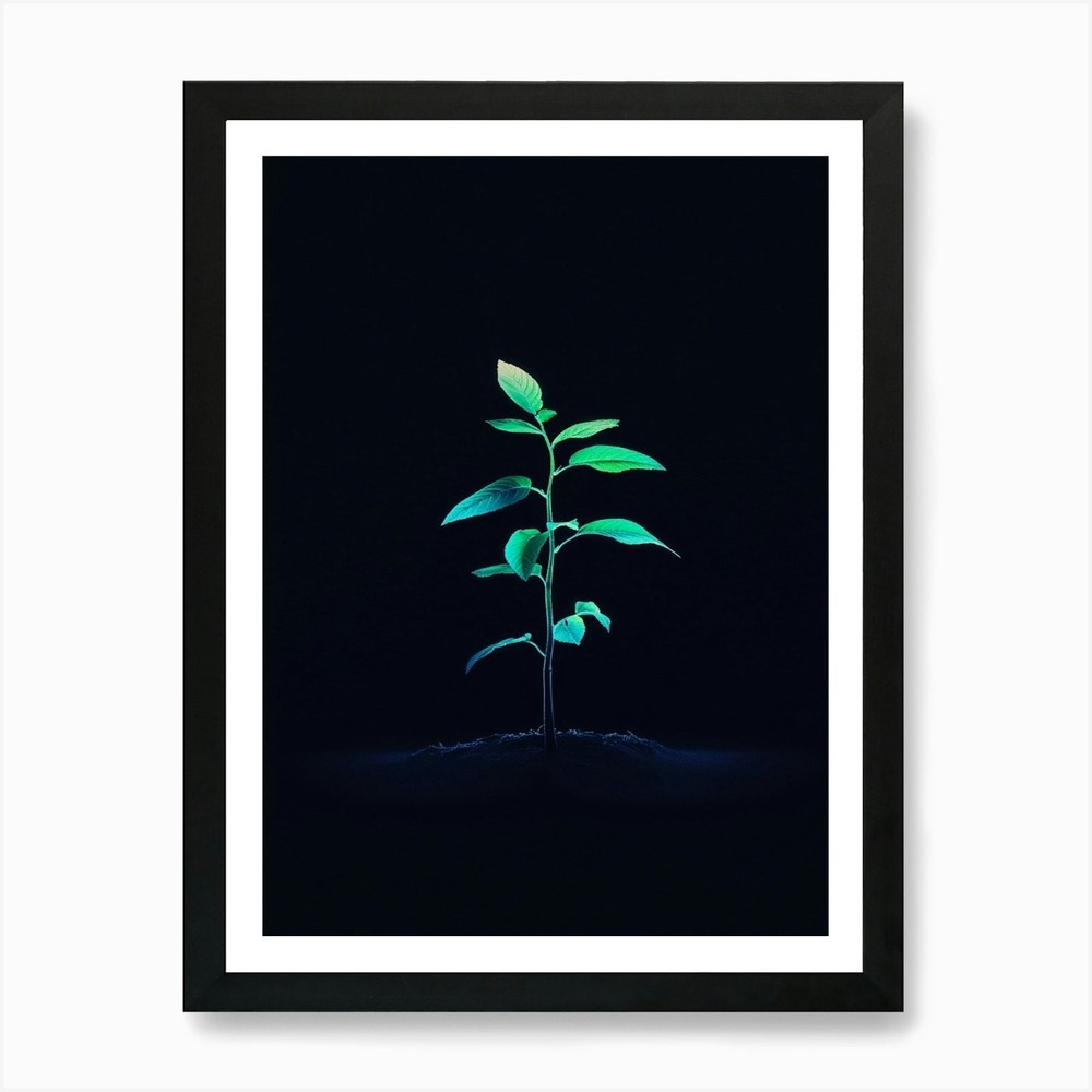 Tree in the Dark 42 Framed Art Print Canvas Wall Poster Picture