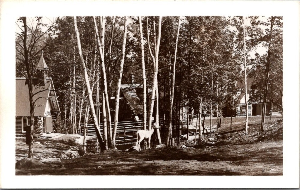 Santa's Workshop North Pole NY Deer Village Scene Vintage Postcard