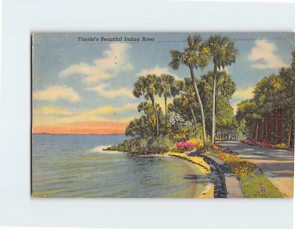 Postcard Florida's Beautiful Indian River Tropical USA North America