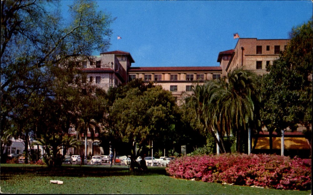 Soreno Hotel ~ St Petersburg Florida FL ~ 1950s cars ~ vintage postcard
