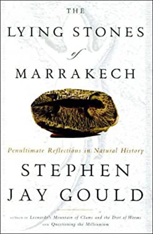 The Lying Stones of Marrakech : Penultimate Reflections in NaturaFree US Delivery | ISBN:0609601423