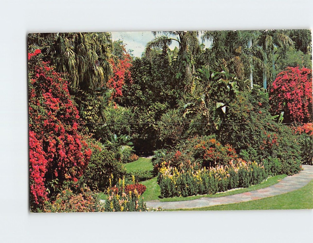 Postcard Sunken Gardens in St. Petersburg Florida USA