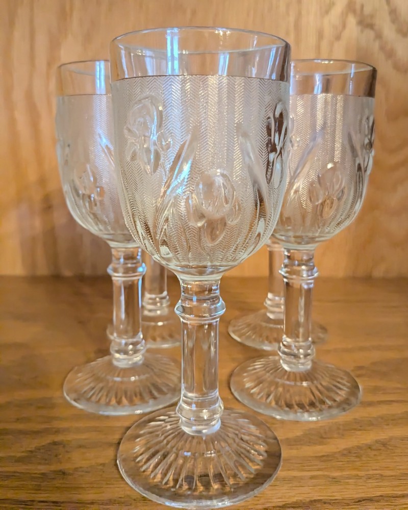 Vintage Iris Frosted Etched Floral Set of 5 Wine Glass Clear Glass Glossy Finish