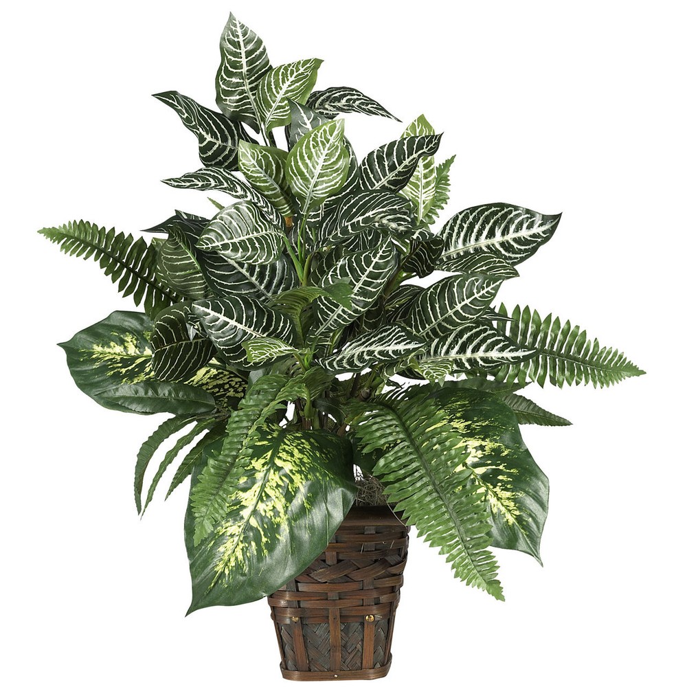 Mixed Greens Zebra Silk Plant in Wicker Pot  