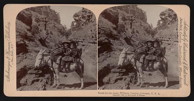 Photo:Williams Canyon Colorado c1898 Children on Donkey Stereoview