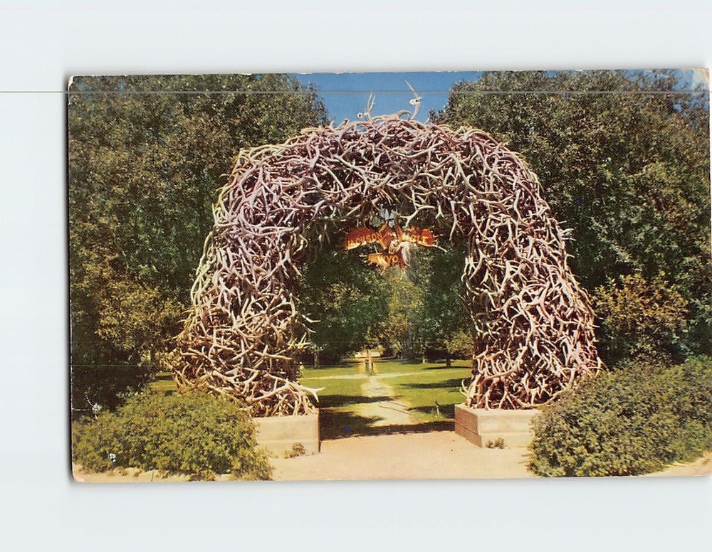 Postcard Elk Horn Arch Jackson Wyoming USA
