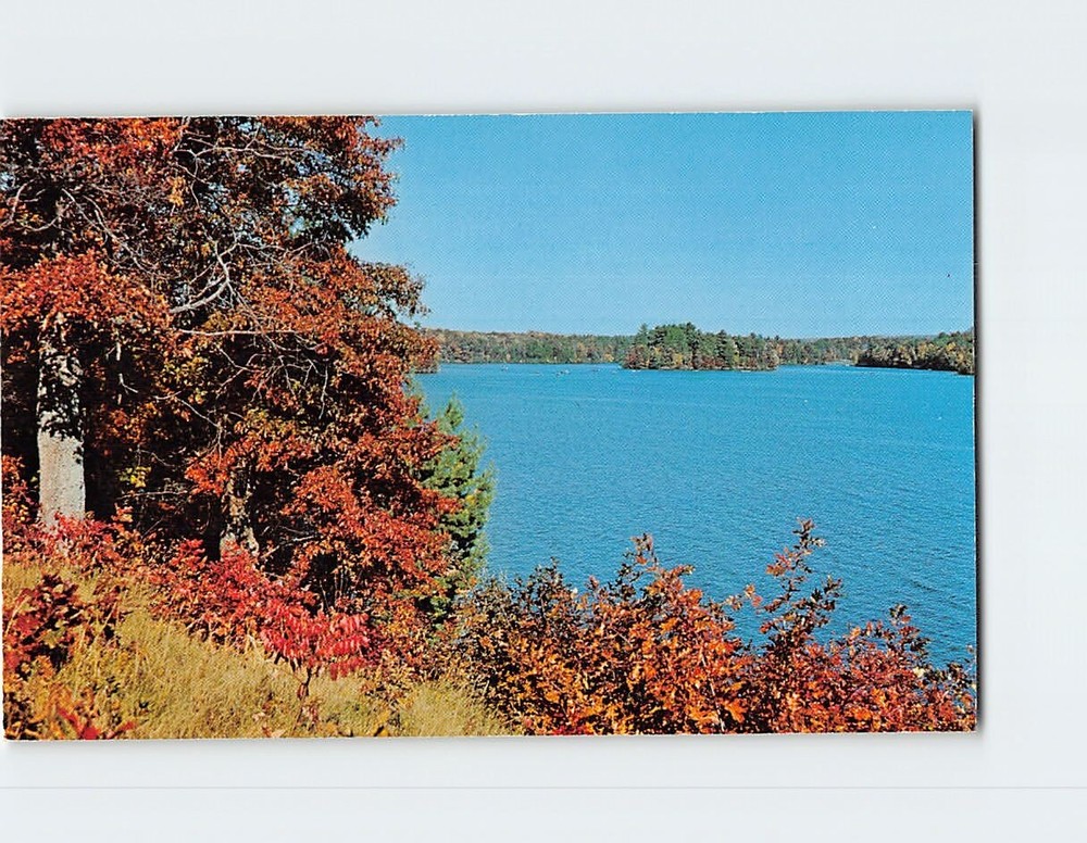 Postcard Autumn Lake Nature Scene