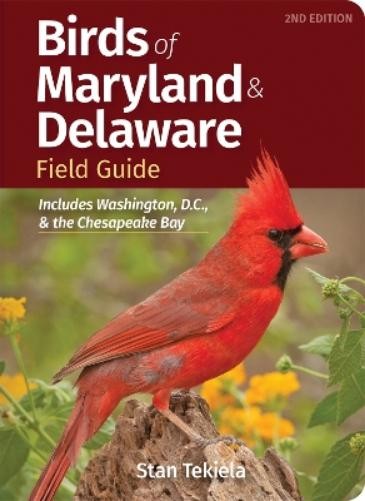 Stan Tekiela Birds of Maryland & Delaware Field Guide (Paperback)Another great item from Rarewaves USA | Free delivery!
