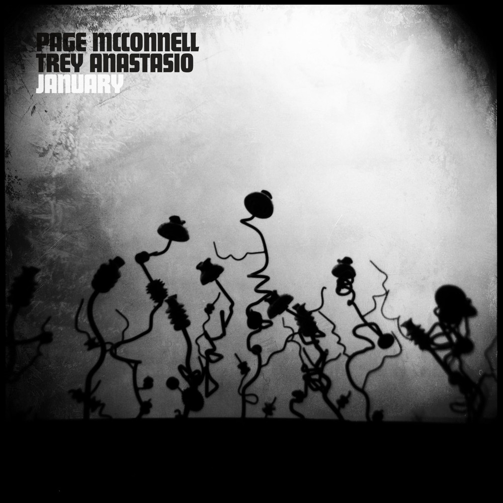 Page McConnell & Trey Anastasio January (Vinyl)