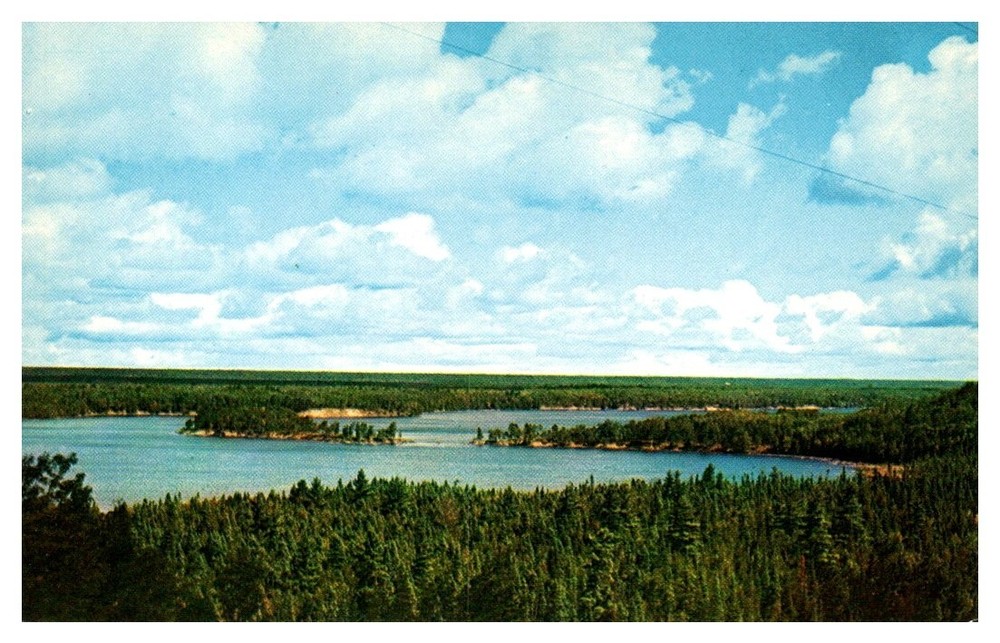1950s Wonderland River Scene Au Sable Michigan Vintage Postcard
