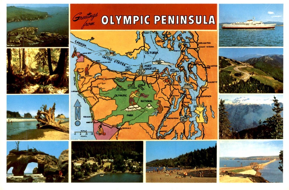 Olympic Peninsula, Neah Bay, Ozette, Victoria - 1982 Postcard
