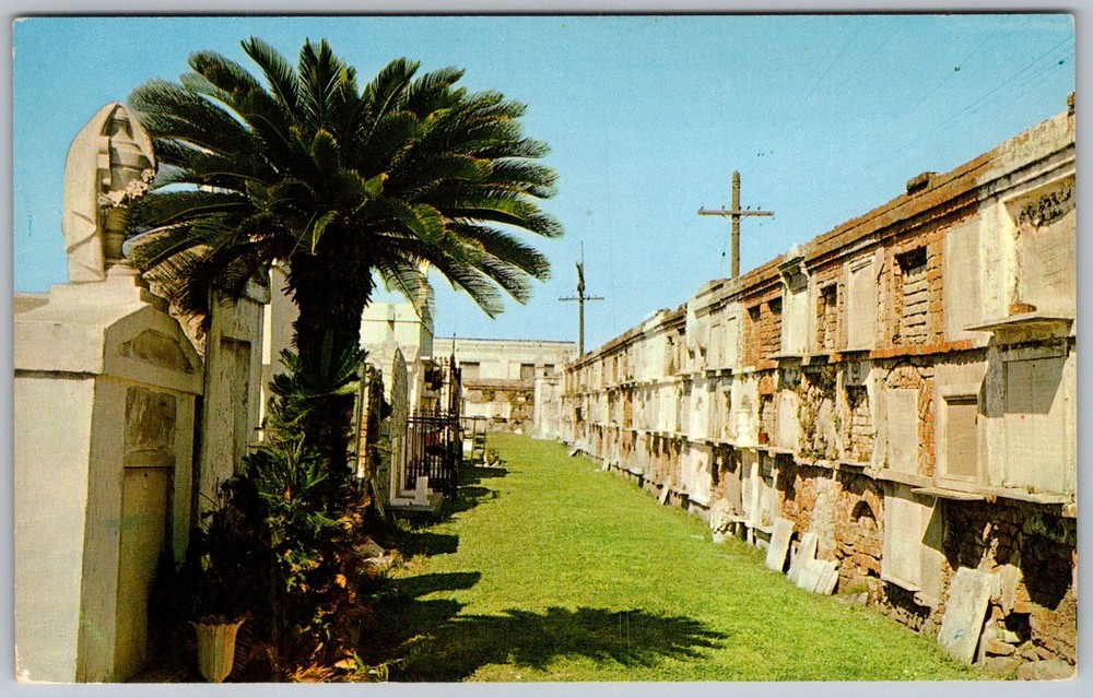 Vtg Postcard Old St Louis Cemetery New Orleans, LA 1950s