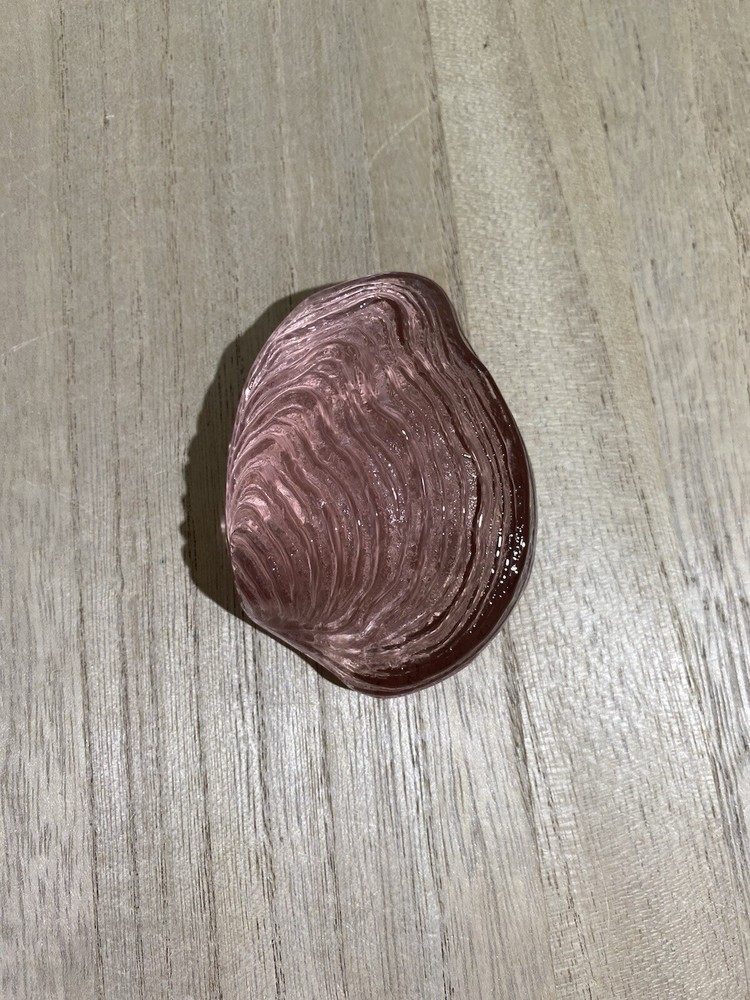 ILLUMINATIONS - Handmade Pale Pink Oyster Seashell