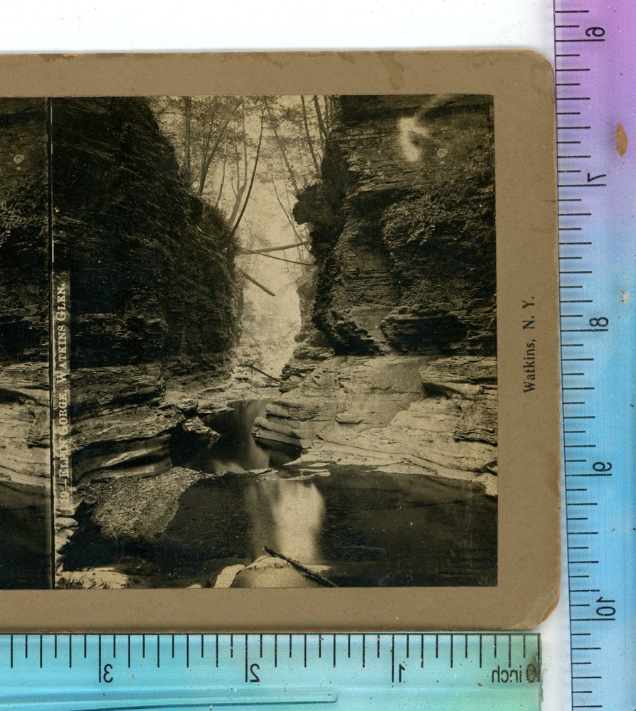 Elfin Gorge Watkins Glen NY New York C.A. Payne Stereoview