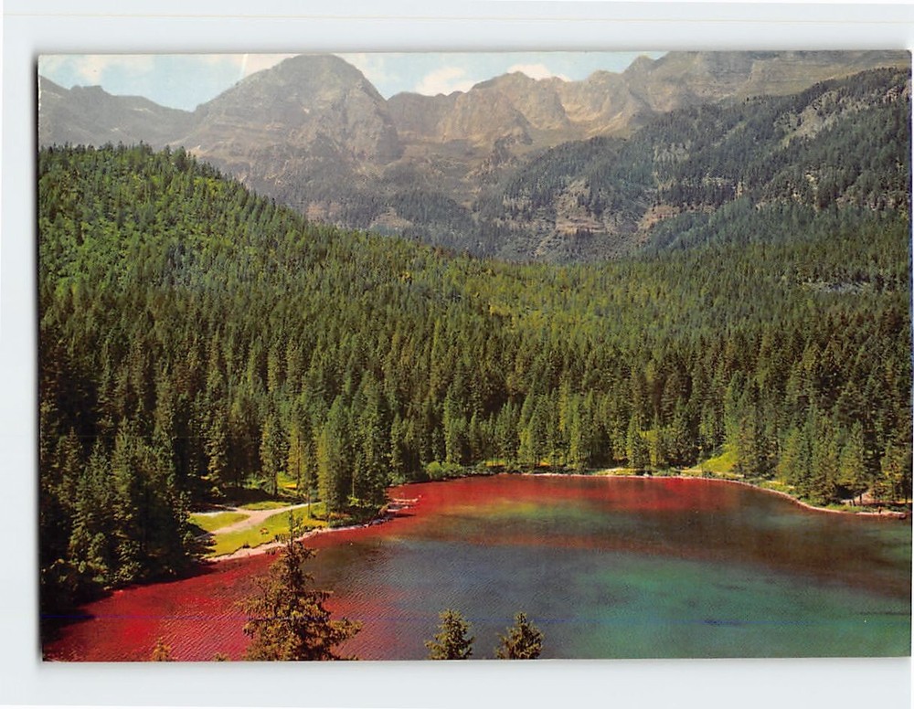 Postcard Aerial View Lago di Tovel in Italy
