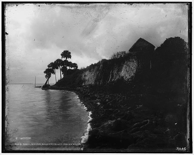 Photo:Indian River Barker's Bluff Shell Mound Florida 1880s