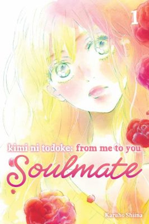 Kimi ni Todoke: from Me to You: Soulmate, Vol. 1 Paperback KaruhoFree US Delivery | ISBN:1974743748