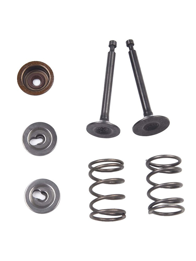 Easy Install Valve Spring Kit Compatible with HHT35S Brush Cutter