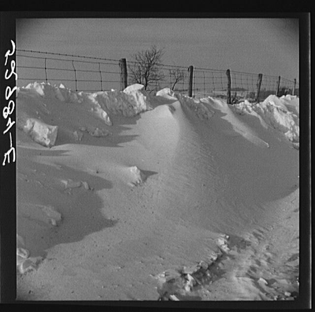 Frederick County Maryland 1930s Snowdrift Fence Farm Security Administration