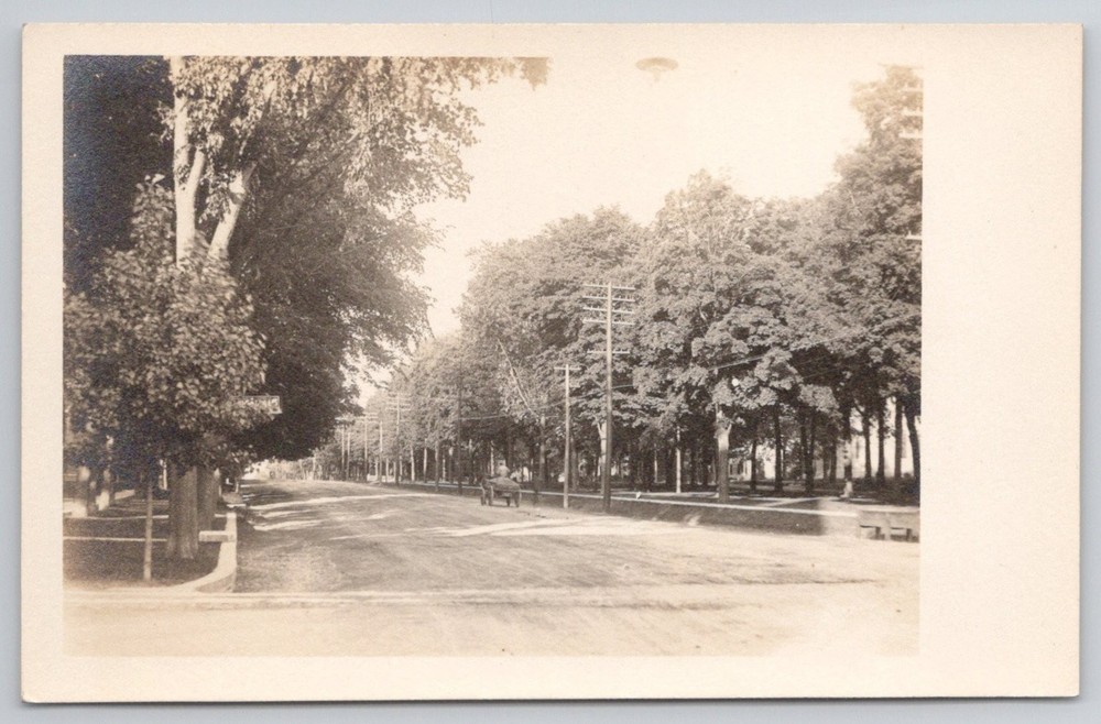 RPPC Tree Lined Street Vintage Real Photo Postcard Early 1900s Rural Town View