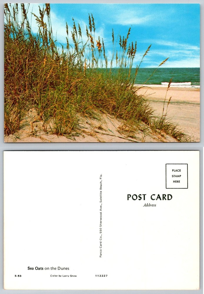 Vintage Sea Oats on Dunes Postcard Satellite Beach Florida Parco Card Co.