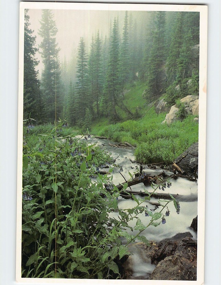 Postcard Tyndall Creek Rocky Mountain National Park Colorado USA
