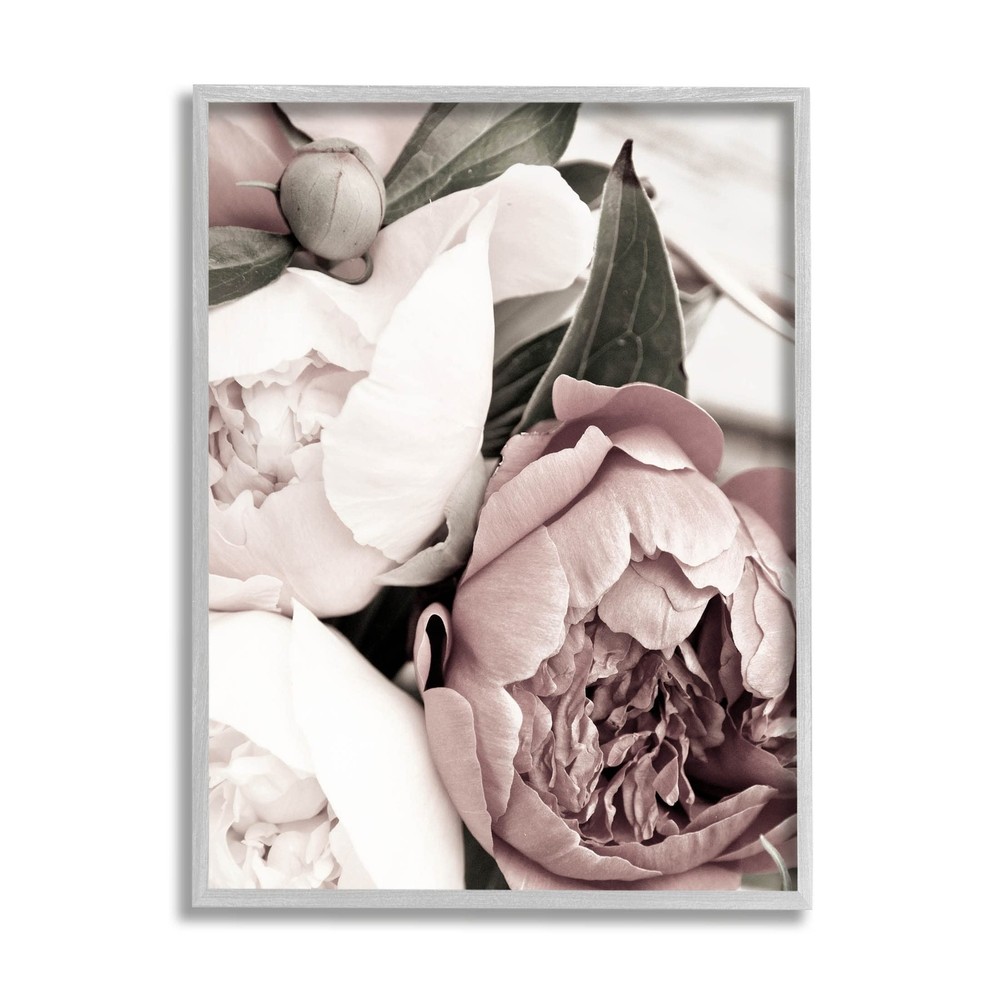 Budding Peony Petals Close Up Giclee Framed Wall Art, Design by Malerifabrikken