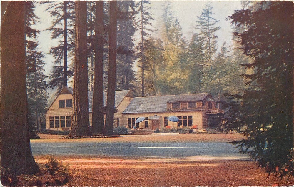 1940s Redwood California Main Lodge Hartsook Inn Highway Postcard 24-11828