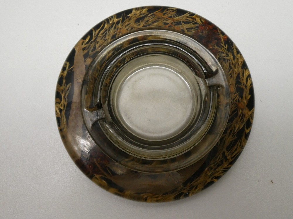 Vintage Australian Flora Acrylic Resin Ashtray with Botanical Art